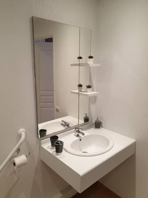 Agreable Villa En Petite Camargue 35 M2 Wifi ガラルグ・ル・モンテュ エクステリア 写真
